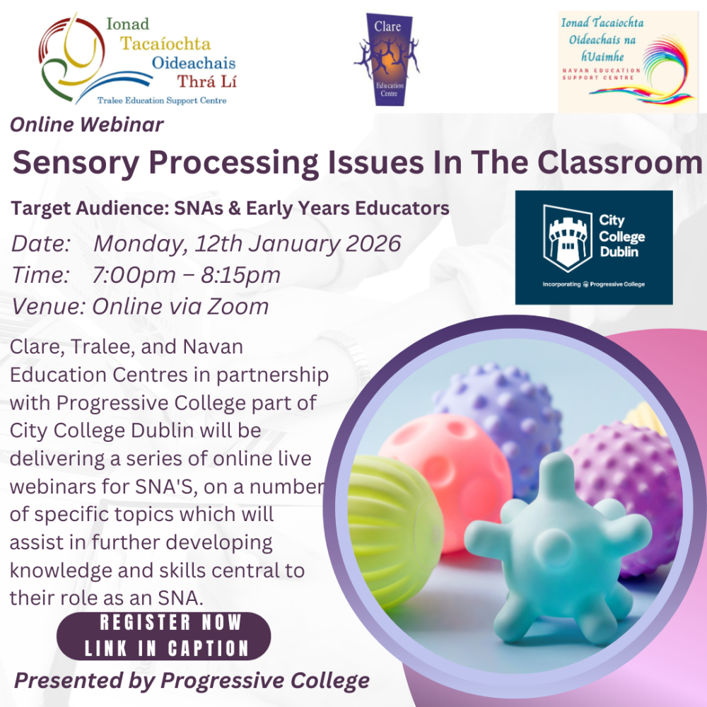 SP26-13 Sensory Processing Issues In The Classroom