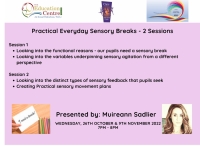 AUT22-141 Practical Everyday Sensory Breaks