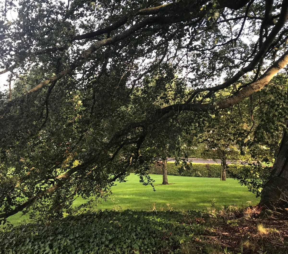 grounds